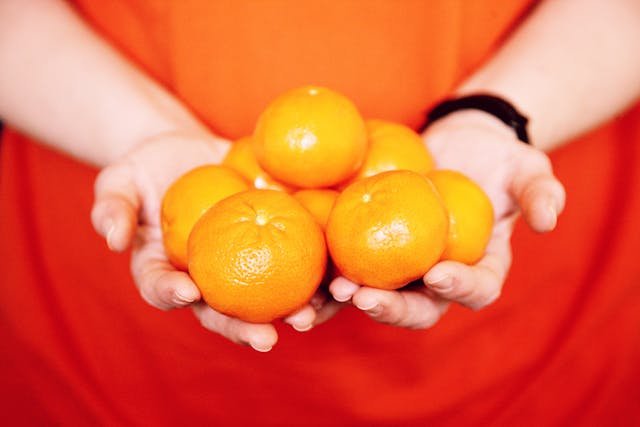 Kann ein Hund eine Clementine essen?