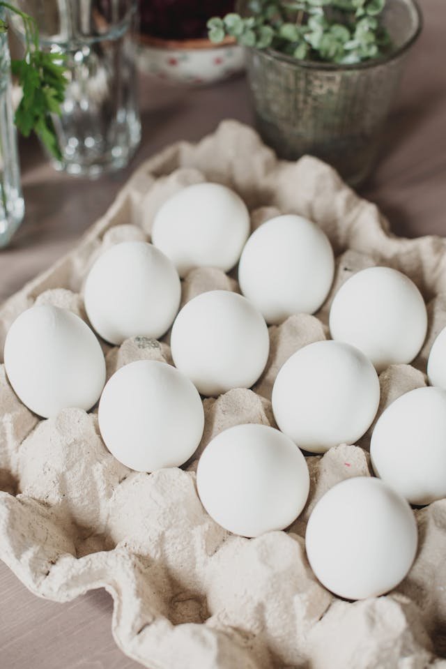mag een hond eierkoek eten