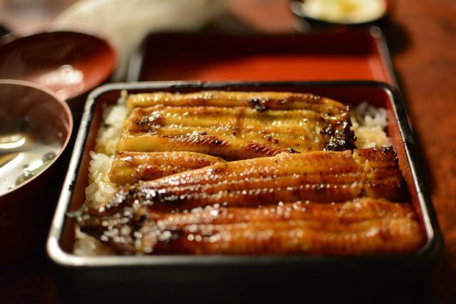 can a dog eat smoked eel