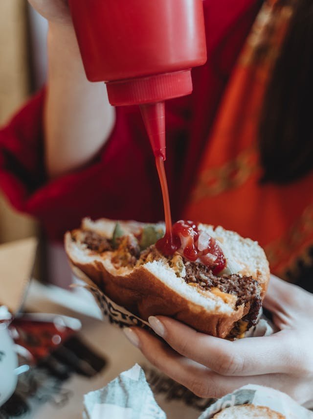 mag een hond ketchup eten