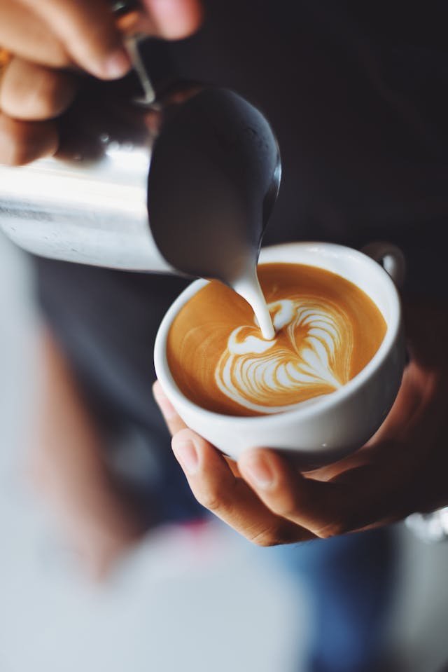 ¿puede un perro beber café?