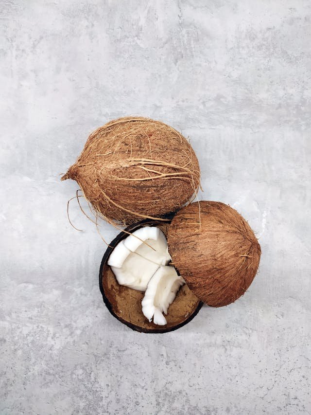 Un chien peut-il manger de la noix de coco ?