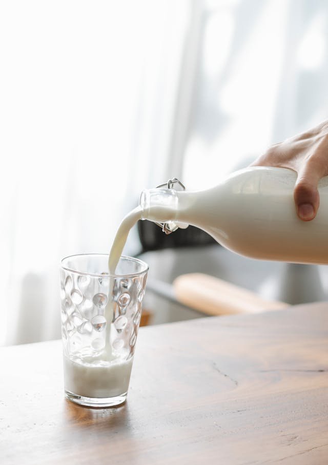 Kann ein Hund Milch trinken?