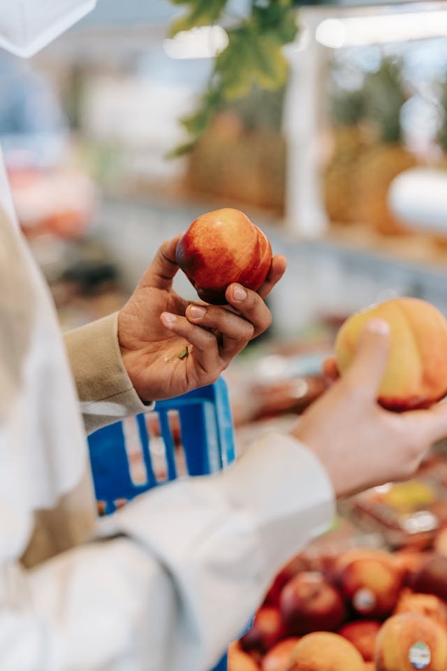 can a dog eat peaches