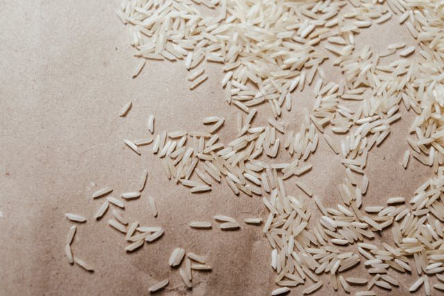 can a dog eat rice