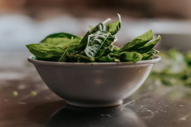 can a dog eat spinach