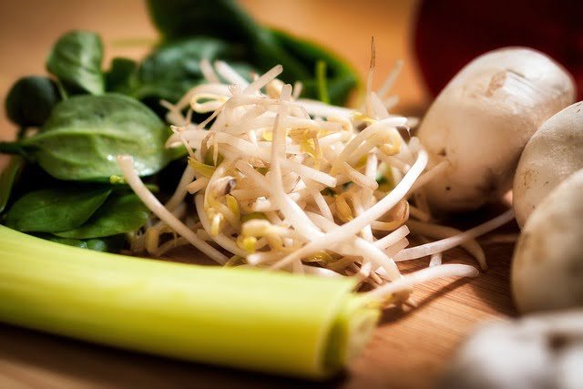 can a dog eat bean sprouts