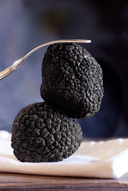can a dog eat truffles