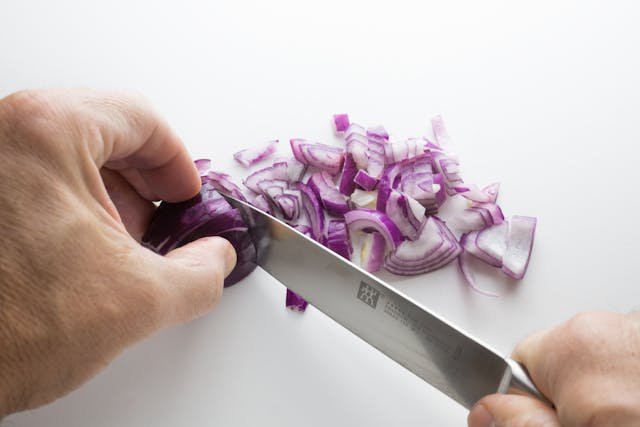 can a dog eat onion