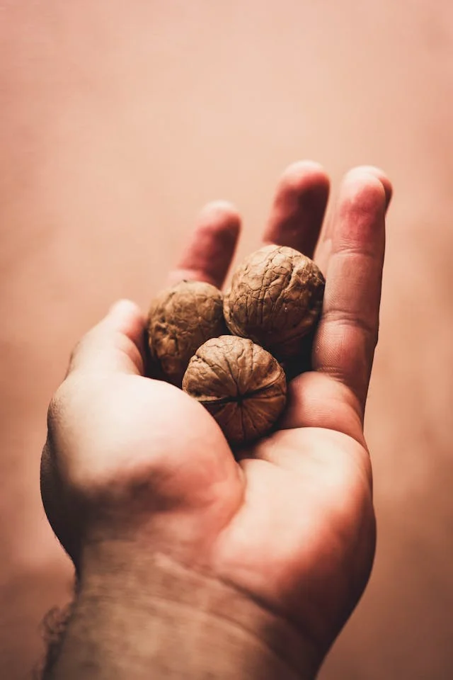 can a dog eat walnuts