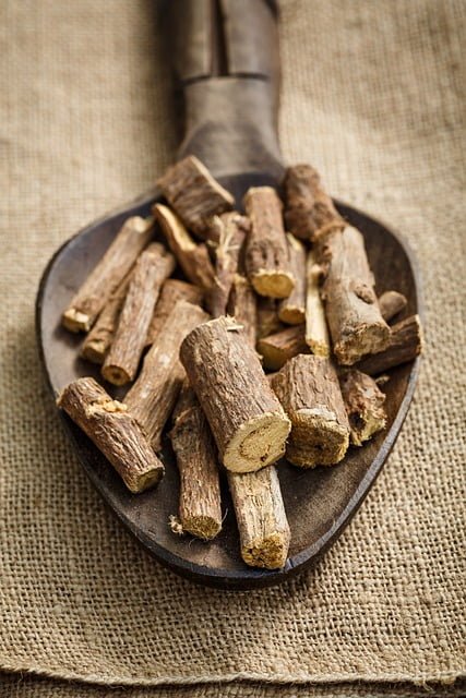 can a dog eat liquorice