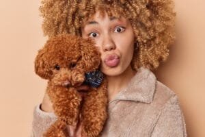 Close up shot of curly haired young woman poses with adorable toy poodle puppy near face keeps lips
