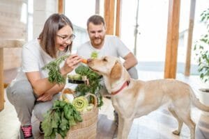 Couple feeding dog with carrot