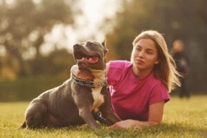 Laying down on the ground. Woman in casual clothes is with pit bull outdoors