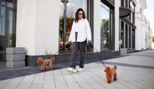 Stylish woman walks down the city street with two small dogs on leashes. Urban lifestyle