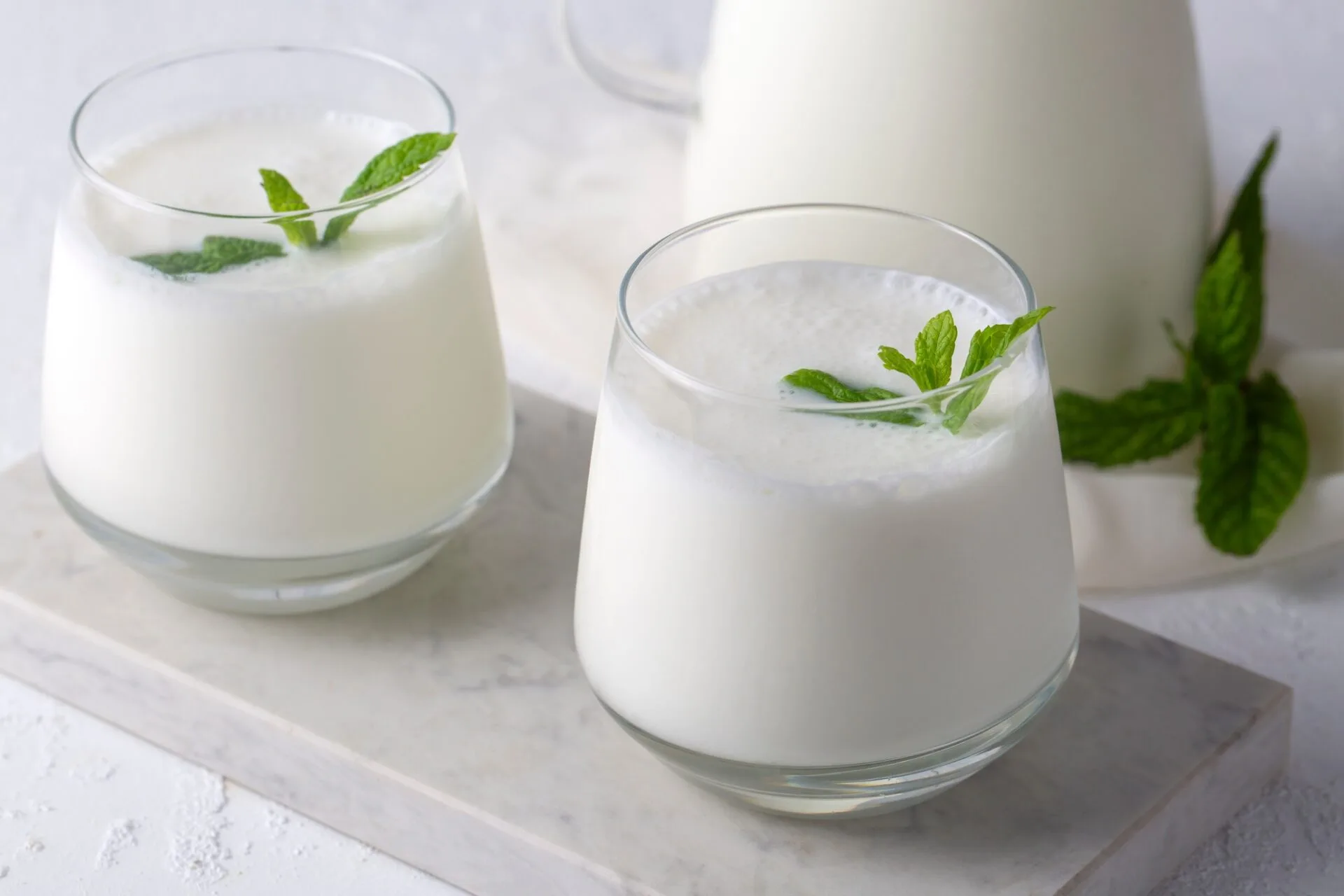Karnemelk hond