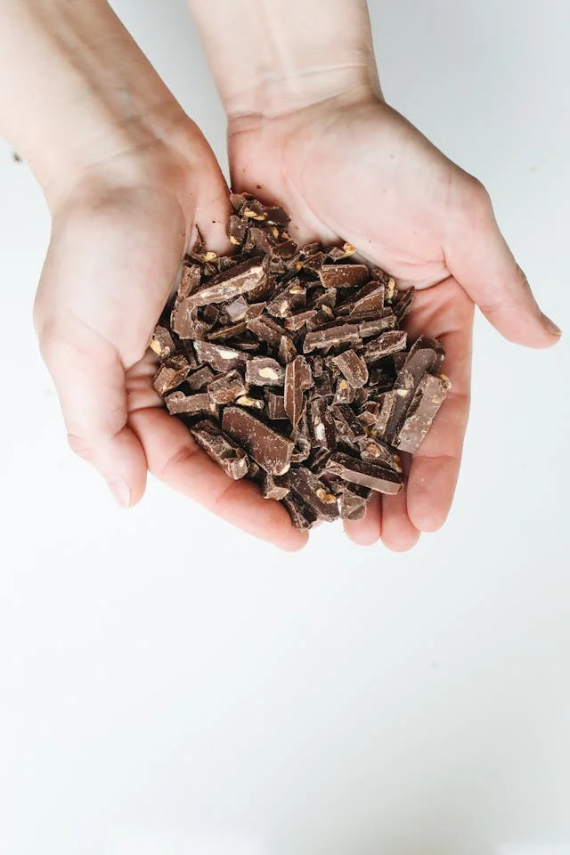 ¿puede un perro comer chocolate?