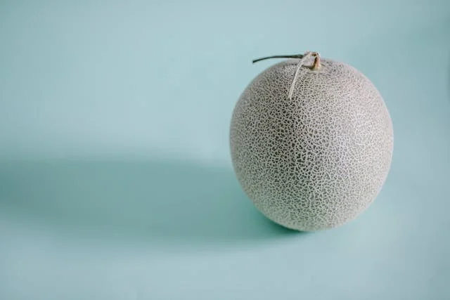 can a dog eat honeydew melon
