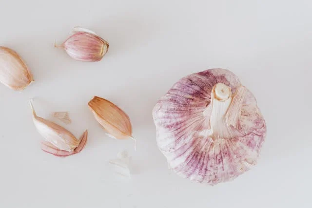 Kann ein Hund Knoblauch essen?