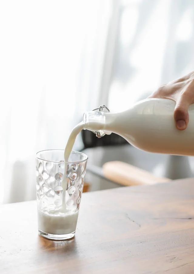 Un chien peut-il boire du lait ?