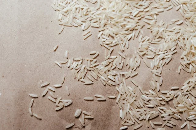 can a dog eat rice