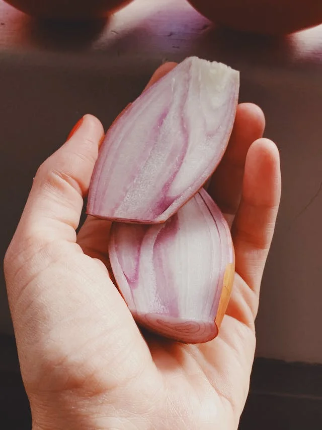 can a dog eat shallots
