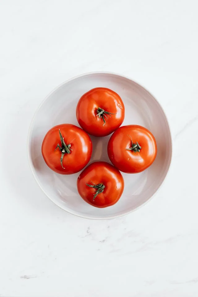 can a dog eat tomato
