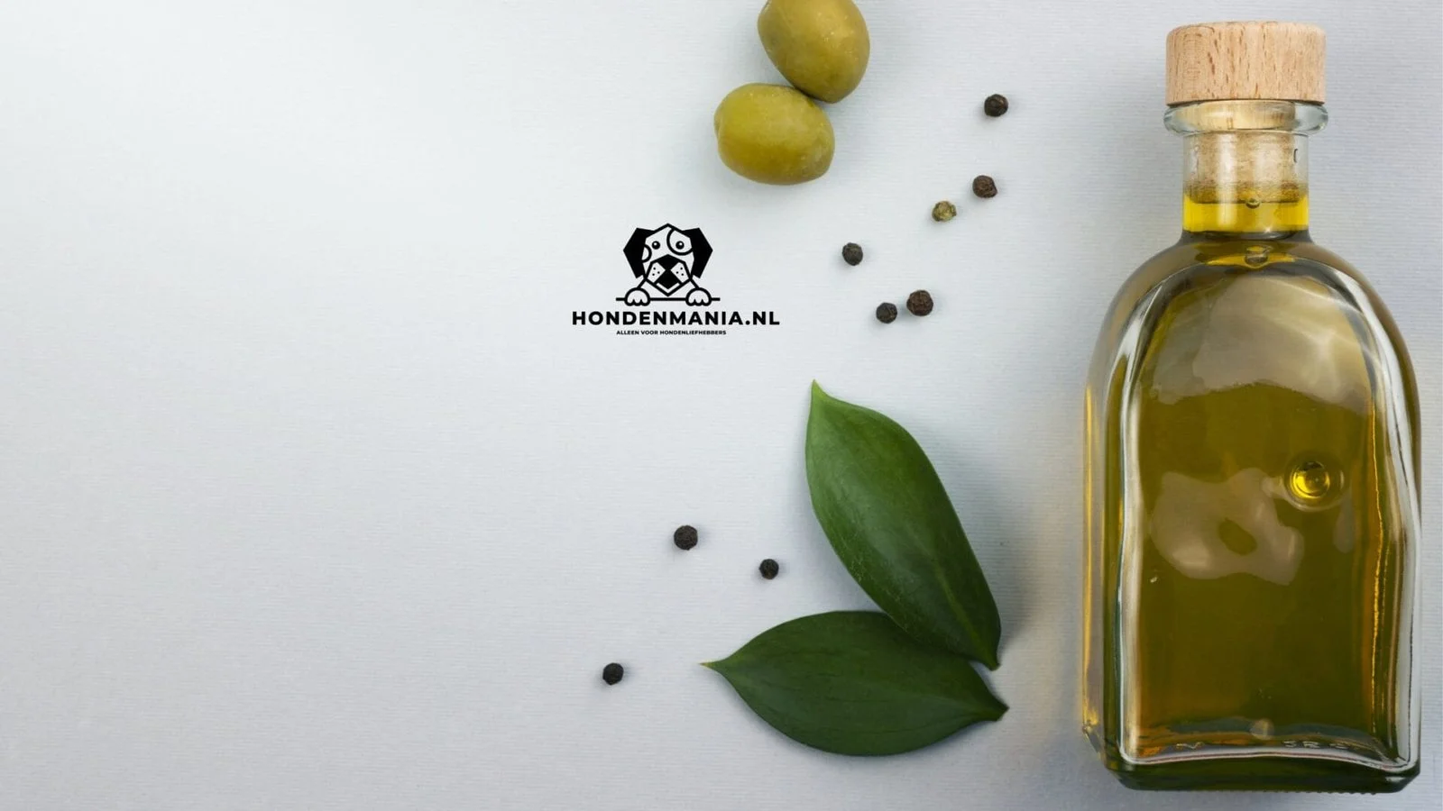 ¿Es saludable el aceite de oliva para mi perro?