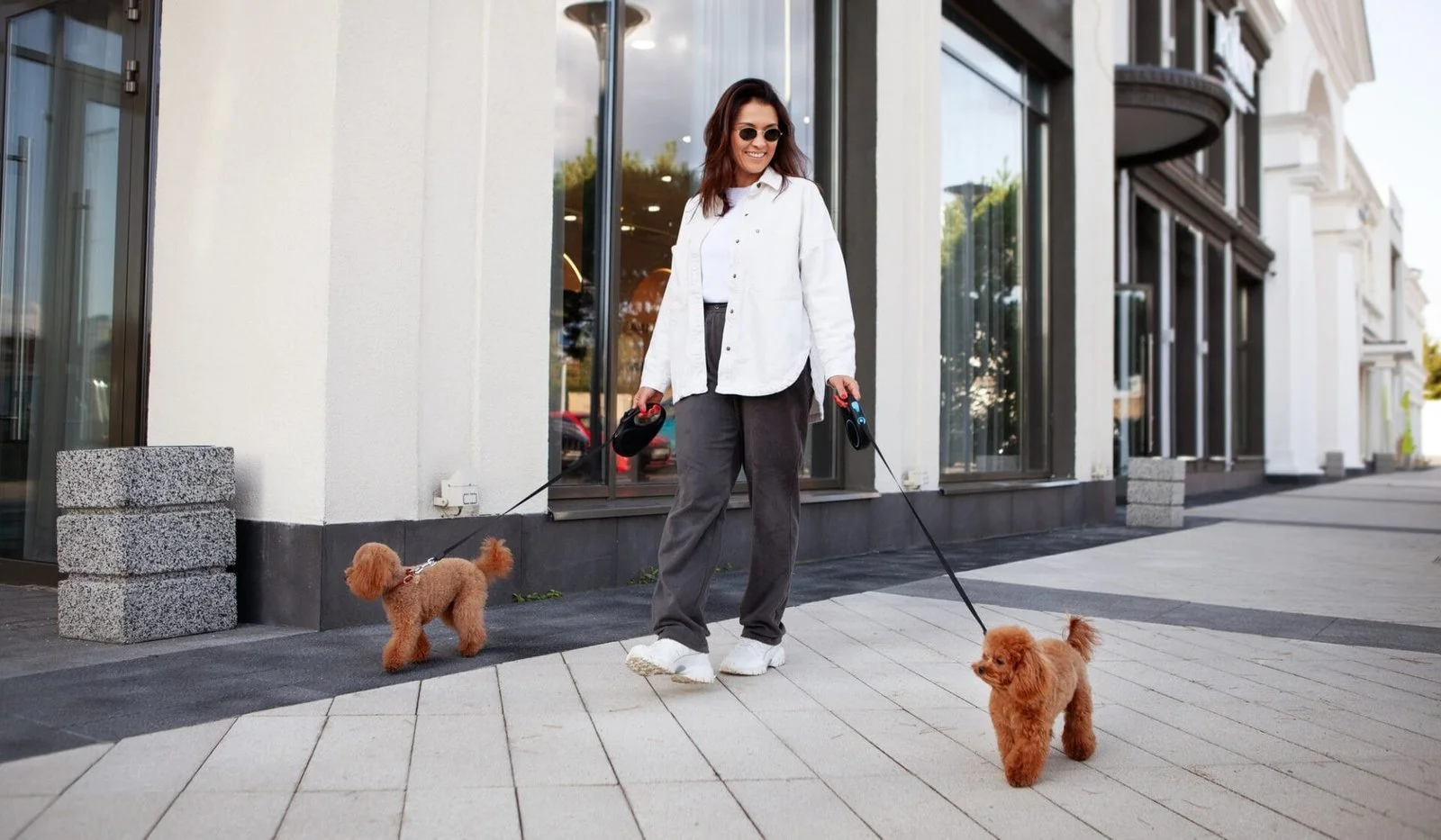 Une femme élégante marche dans une rue de la ville avec deux petits chiens en laisse. Mode de vie urbain